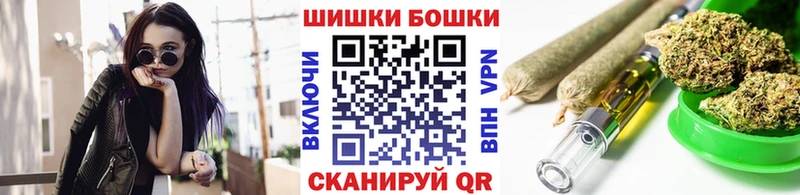 купить наркотики сайты  Шатура  МАРИХУАНА сатива 